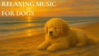 1 Hour Calming Piano Music for Dogs &ndash; Sleep & Relaxation for Pets Vol 5