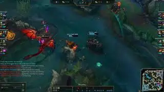 monkey Rooc gets rekt