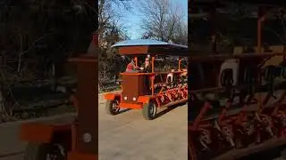 Who knew party bikes could look so good?
