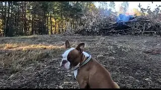 Burning Treeing Brush Hog repair 10-16-2024