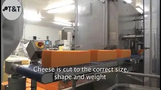 Amazing Cheese Production Line + Bakery Automation Process