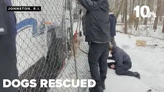 Rhode Island SPCA rescues four abandoned dogs from Johnston motorhome