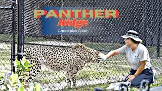 Welcome to My Adventure at Panthers Ridge Conservation