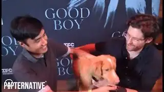 Интервью на ковровой дорожке Good Boy: Индиана Пёс и Бен Леонберг