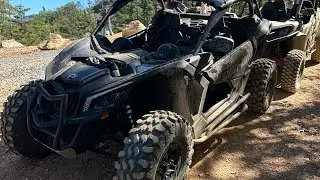 Pigeon Forge Tennessee wild side￼ (SIDE BY SIDE TOUR)