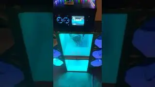 mini paredão Stronda