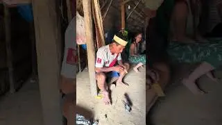 Mats&eacute;s Elder Prepares Sacred Frog Medicine 🐸