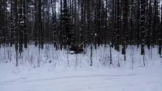 Снегоход WELS 200 RS