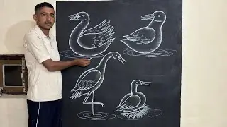 Learn to draw heron and duck use chalk and black board ||🦆🤨 || #duckart #viraldrawing #ytdrawing 