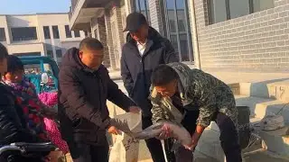 摆摊卖鱼第12天，今天卖的都是值钱货，销售额也创新高了 #农村集市 #农村生活记录 #三农流量扶持计划 #卖鱼人
