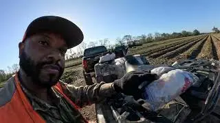 В рождественские выходные был сбит олень Спайк Бак вместе с четырьмя огромными енотами (ОБЯЗАТЕЛЬ...