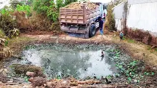 First Start Opening Amazing PROJECT!! Landfill Delete Deep Pond Fish By Skills Dozer Pushing Soil