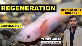 REGENERATION || UNIT-5 DEVELOPMENT BIOLOGY || CSIR/UGC-NET, GATE(XL), MSC ||