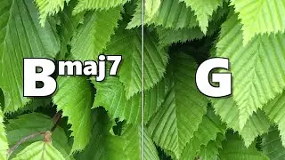Bmaj7 to G Backing Track