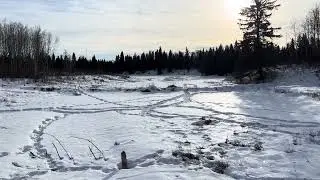 Winter Hike - Beaver Pond Trail #elkislandpark #hiking 