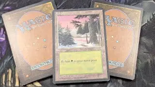 Do Not Miss This Vintage Magic: The Gathering Land Grab Bag! 2/5 #goldhunter137
