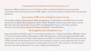 OMICS Group publishes Inclusion bodies sialylation research