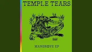 One Rule In The Jungle (Kunterwei&szlig; Remix)