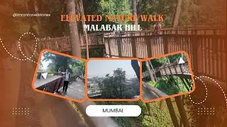 Silence, Greenery & Sea View | Elevated Nature Trail Malabar Hill | Mumbai Vlog