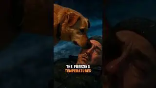 Dog Saves Frozen Owner From Death 🥺❤️ (True Loyalty) #shorts