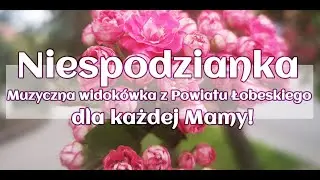 Muzyczna pocztówka z Powiatu Łobeskiego.