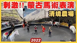 『南投』清境農場 百看不厭 蒙古馬術秀 ｜身手矯健 真正的蒙古人🇲🇳 ｜Taiwan｜4K HDR