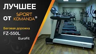 Беговая дорожка  Eurofit FZ 550 L ✔ Как выбрать беговую дорожку для дома ✔ Eurofit treadmill FZ550 L