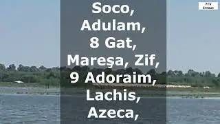 📖 2 Cronici Capitolul 11 &mdash; Divr&eacute; Hayamim Bet