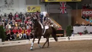 CVI Bern 2016 - Isabel Fiala AUT (CVI3*)
