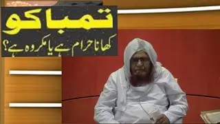 Tammbaku Khana Kaisa Hai ??? Mufti Saeed Ahmed Sahab Palanpuri ( DB ) @MolanaRizwanMemonOfficial