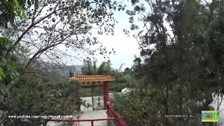 【Hong Kong Hiking】上花山上引水道 Sheung Fa Shan Watercatch Channel (Edited)