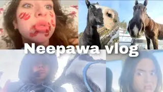 Neepawa Vlog
