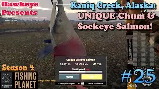 Fishing Planet #25 - S4 | Kaniq Creek, Alaska: UNIQUE Chum & Sockeye Salmon!