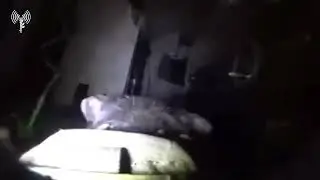 Dog from the Oketz K-9 commando unit searching a terror tunnel in Gaza