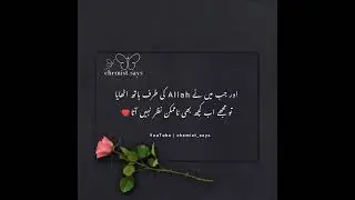 Best Islamic quotes for Whatsapp status | Islamic dp | golden words Islamic quotes