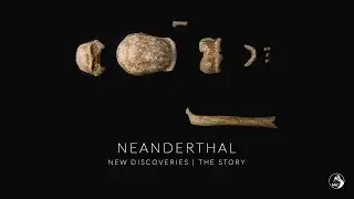 Neanderthal - New discoveries