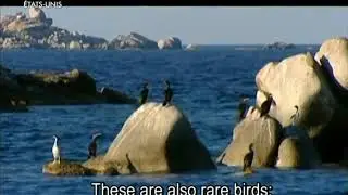 Iles Lavezzi Clip 1