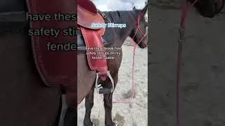 Safety stirrups I use on my fender saddle. #horse #horseriding #equestrian