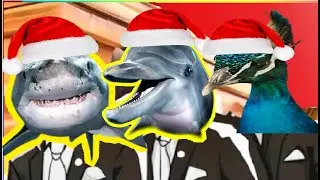 Акула против дельфина против павлина - Coffin Dance X Christmas COVER