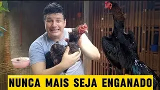 Três COISAS que todo GALISTA RICO faz para manipular compradores 