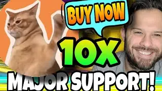 CatSlap Hitting Major Support! Is This Meme Coin That Just Burned $1 Million An Absolute Buy Now?!