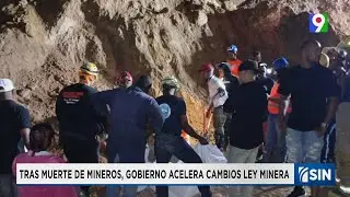 Reforma de ley minera en el marco de Meta RD 2036| Emisión Estelar SIN con Alicia Ortega