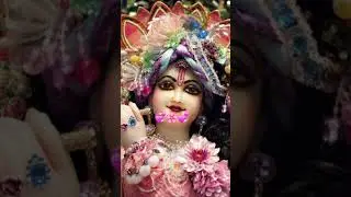 🌿🌸 Hey Murali Dhar chaliya mohan 🌸 radhe radhe 🌸🌿