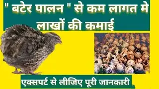 bater farming coil farming jungali bater desi bater bater Cafe and restaurant