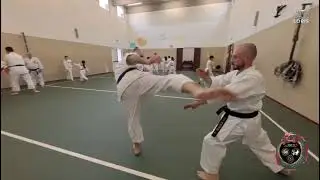 ASD.SHURI-TE Centro Studio Arti Orientali. Karate Shotokan A Terranegra di Legnago
