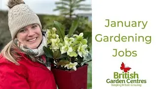 January Gardening Jobs