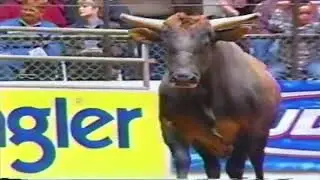 Hotel California bucks Andre Moraes - 04 PBR Fort Worth