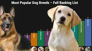 Top 10 most popular dog breeds in the world 2021 | what is the most popular dog breed in the world ?