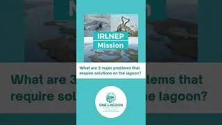 What Are 3 Problems That Require Solutions On The Indian River Lagoon?
