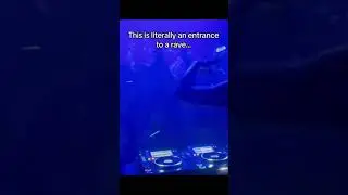 Unexpected DnB Rave Location Revealed! 🎶🔥 #DrumAndBass #RaveVibes #DnBVibes #ViralMoment
